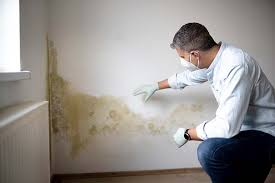 Trusted Maitland, FL Mold Prevention & Removal  Experts